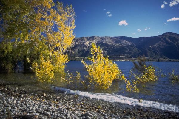 Lake Wanaka